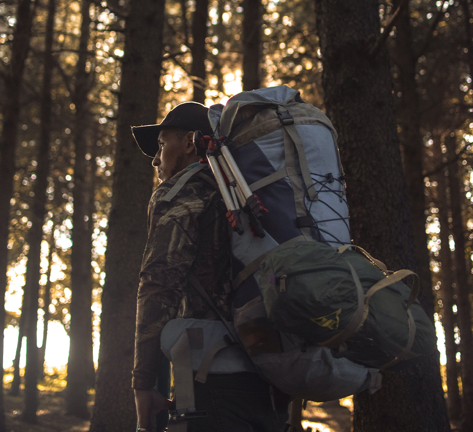Uma Jornada para a Vida Equilibrada