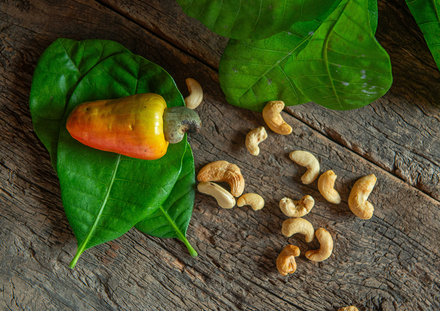 Desfrute da Natureza em Cada Mordida